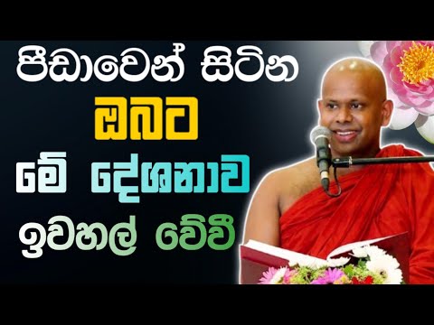 පීඩාවෙන් සිටින ඔබට මේ දේශනාව ඉවහල් වේවී 🙏 / Walimada saddaseela thero 🪷 