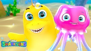 Jellyfish - Who Lives in the Ocean? +30 min More Fun Educational Kids Songs | The Sharksons Family