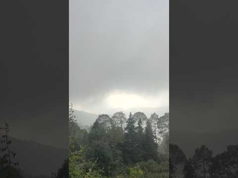 #Uttarakhand #nature #travelvlog #birds #birdsounds