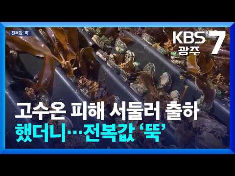 [여기는 <strong>전남</strong>] 고수온 피해 서둘러 출하했더니…전복값 ‘뚝’ / KBS  2026.08.24.
