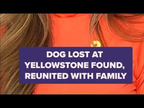 Dog lost <strong>at</strong> Yellowstone found, reunited with <strong>family</strong>
