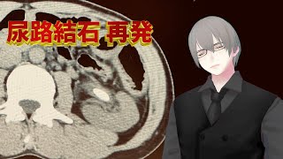 [ #雑談 ] 尿路結石再発で手術を受けることになりました [ #VTuber ]