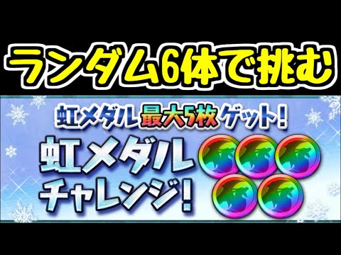 【生放送】ランダム6体編成で挑む超重力虹メダルチャレンジ【パズドラ】