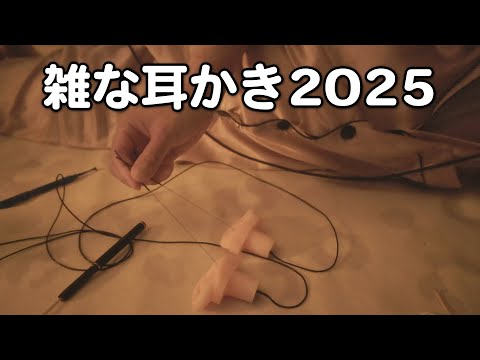 雑な耳かき2025