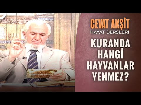 İslam'da Eti Yenmeyen Hayvanlar | @Cevat Akşit ile Hayat Dersleri 24. Bölüm