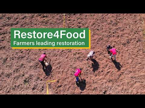 What does it take to make resilient food systems possible at scale?
