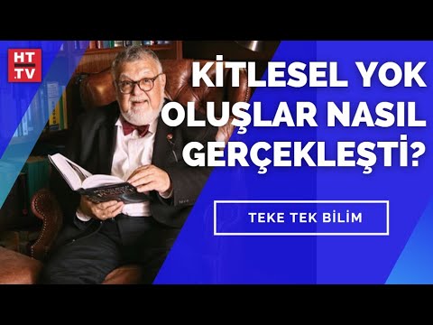 Kitlesel yok oluşlar nasıl gerçekleşti? Prof. Dr. Celal Şengör yanıtladı
