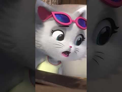 El ritmo más miau de hoy 🐾| 44 Gatos #shorts