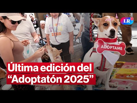 🔴Adoptatón 2025: busca cambiar la vida de más de 50 animales rescatados | #EnVivoLR