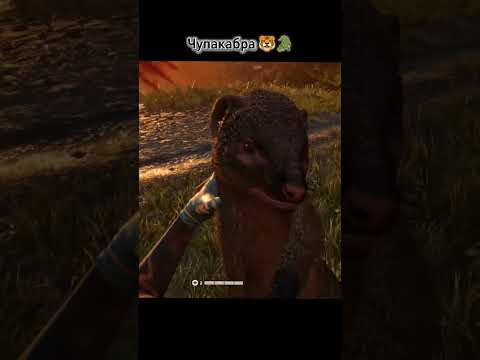 Chewbacca 😂🐊🐯 #gaming #farcry #chewbacca