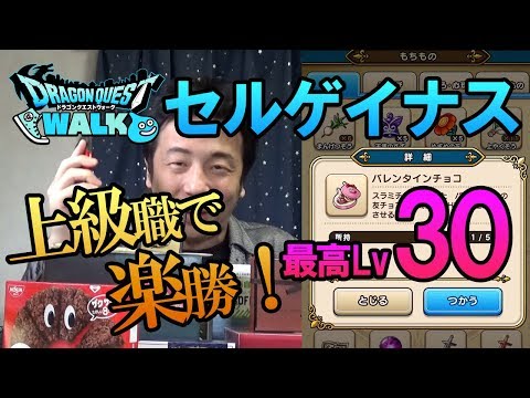 【ドラクエウォーク73】最高Lv30セルゲイナスは上級職のレベル上げ頑張れば余裕！スラミチのバレンタインチョコもあるし！