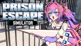 【 Prison Escape Simulator: Dig Out 】深夜に穴を掘って刑務所から脱獄！！！！！【#綺々羅々ヴィヴィ #ho