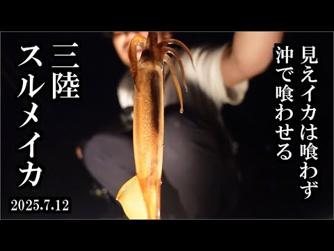 【防波堤イカ釣り】お手軽ちょい投げで狙うスルメイカ   三陸つりしとがんせ　vol 94