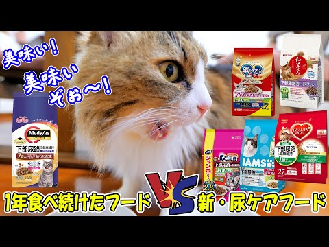 猫は同じフードを与え続けるとストレスで○○になる⁉ボス吉に新しい尿ケアフードで食いつき検証をした結果、これまでの健康管理を根本から見直さなければならなくなりました🐈