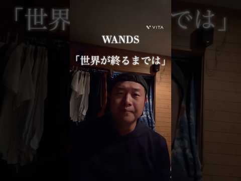 WANDS 「世界が終るまでは」 歌ってみました