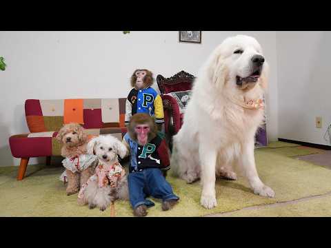 これが、みんなで撮る最後の集合写真になりました