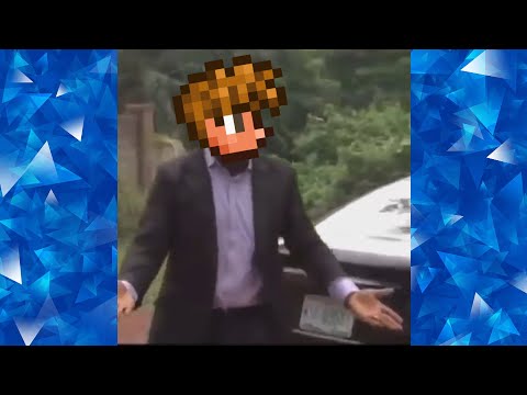 Why are you running but its a Terraria meme