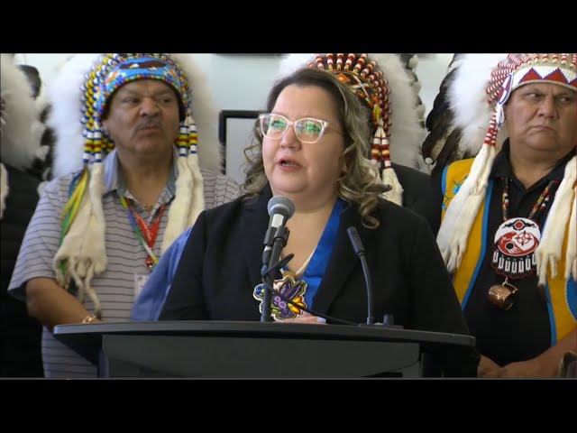 Regional Chief Cindy Woodhouse announces candidacy for AFN national ...