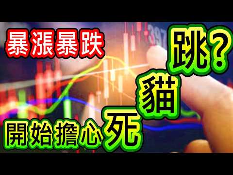 【存股人生】暴漲暴跌！你是不是開始擔心死貓跳？【卡哇KAWA】