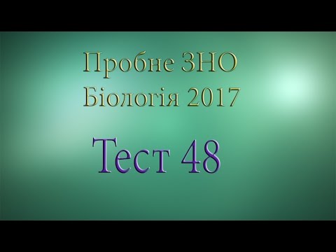 Тест 48