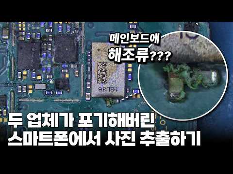 두 업체에서 포기한 스마트폰에 해조류가 보이는데요?? 편집 없이 데이터 추출과정 공개 합니다.