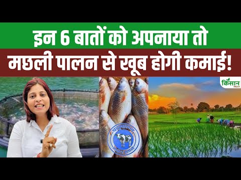 मछली पालन का सही तरीका क्या है? इन 6 बातों को अपनाया तो Fish Farming से खूब होगी कमाई!। Fish Farming
