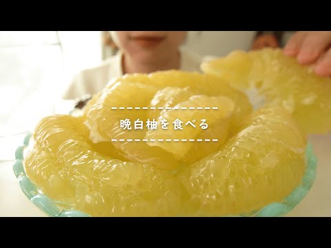 【咀嚼音】晩白柚を食べる【Eating Sounds】