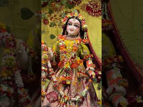 सब सखियन में राधा जी प्यारी राधा गोरी गोरी Sab sakhiyan me Radha ji pyari Radha gori gori #indreshji