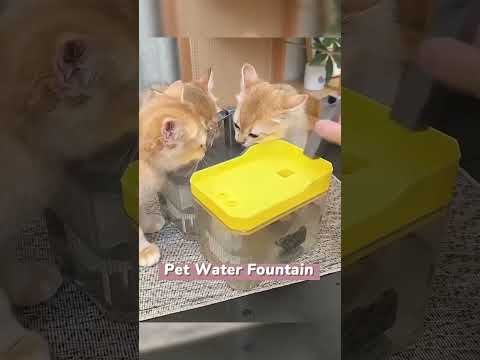 Budget-Friendly Pet Products That Actually Work 💰 🔗Link is on My Bio🦃 #PetCare