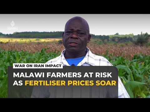 Malawi farmers at risk as war on Iran sends fertiliser prices soaring