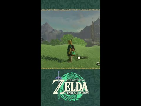The Legend of Zelda: Tears of the Kingdom – How would you solve it? #Shorts