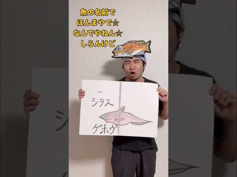 魚の名前で「ほんまやで⭐︎なんでやねん⭐︎しらんけど」【モナキ】