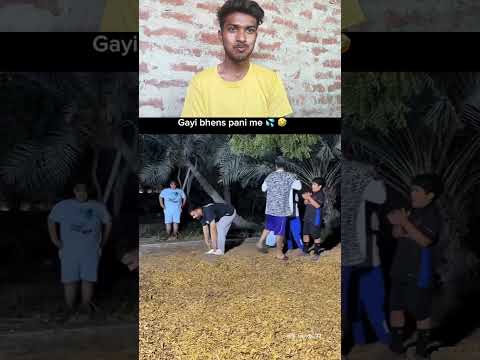 gayi bhesn pani me 😂 #trending #viral #video #trending #viral #reaction #video
