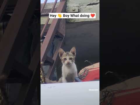 Heyy boy kya bolo 😜🥴