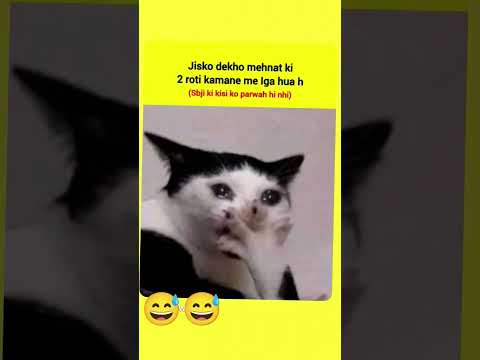 #सब्जी की भी परवाह कर लो भाई 😂😅#funny video #youtubeshorts #