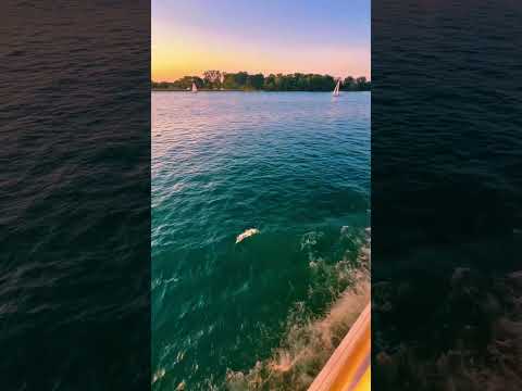 Cruising on St. Clair Lake. #cruise #travel #lake #travelvlog #vacay #scenery