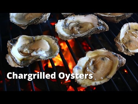 Chargrilled Oysters | Grilled Oyster Recipe on Big Green Egg - UC--MxpGXJ3LVD8KvlNzRlcA