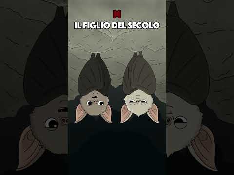 M IL FIGLIO DEL SECOLO