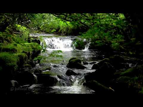 Paisaje Sonoro #5 - EL CAMINO DEL RIO - (432hz) - UCAa4STSndzQQb0lNxZR1JcA