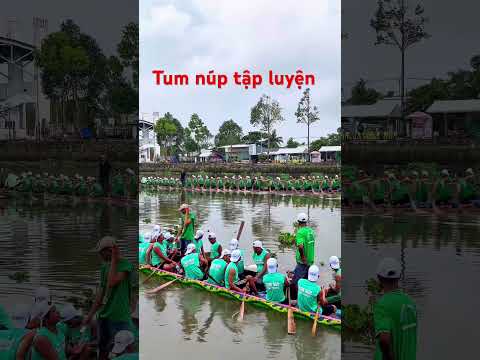 Tum núp xé nước