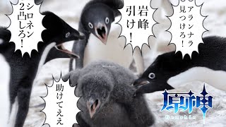 【原神 】 探索にデイリーに樹脂消化と週ボス、 原神はやることが多いね！ あとデートと釣りと七聖召喚と...  #shorts 【Gensh