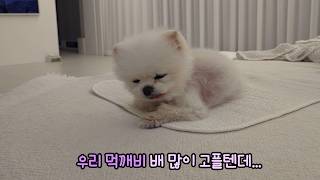 動画サムネイル