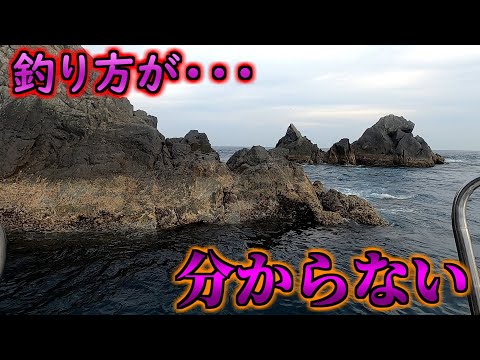 尾長グレＡ級磯が難し過ぎる・・・