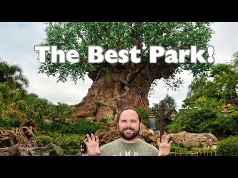 🦒 A Full Day at Animal Kingdom | Hidden Gems and Budget Tips You’ll Love!