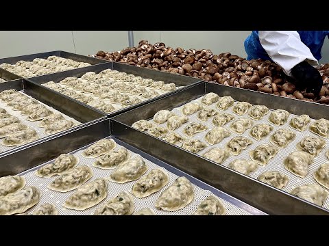 할머니들이 직접 빚은 손만두에서 6개월만에 공장 세운, 표고버섯 만두 대량생산 Amazing mushroom dumpling factory - Korean street food