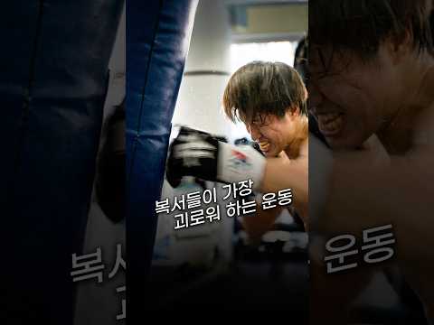 12라운드 동안 싸우는 복싱 <strong>선수들의</strong> 체력 훈련