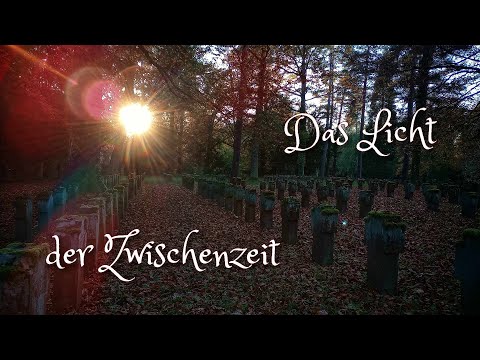 Samhain - Gedenken der Ahnen - Menhire auf dem Waldfriedhof 🎃🍂🍁