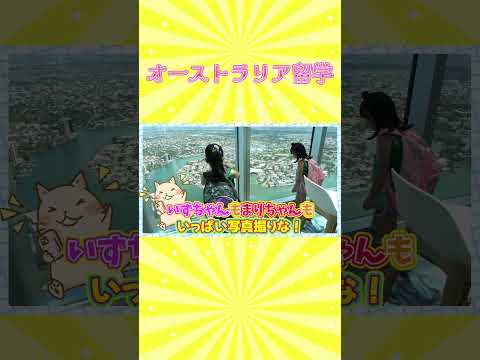 オーストラリア留学　スカイポイントでランチ！　まりちゃんいずちゃんチャンネル　#shorts #オーストラリア留学