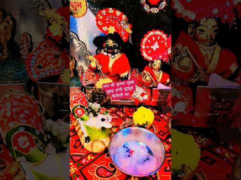 एक बार वृंदावन आकर तो देखो सब दुख हर लगा#comedy #ytshorts #youtubeshorts