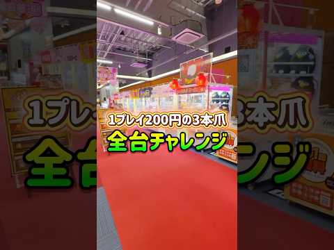 ぬいぐるみ全台チャレンジしたらまさかの結果にwww #shorts  #クレーンゲーム #ufoキャッチャー#ゲーセン #ゲームセンター  #arcade #clawmachine